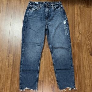 American Eagle Outfitters High-Rise Blue Mom Jeans